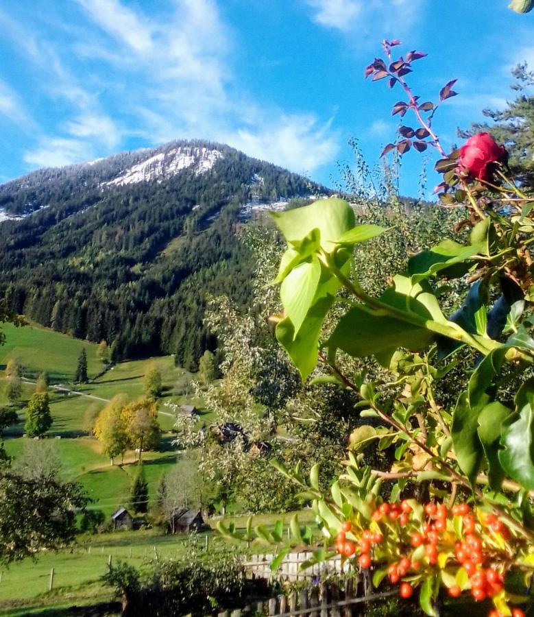 Pension Stammerhof Schladming Buitenkant foto