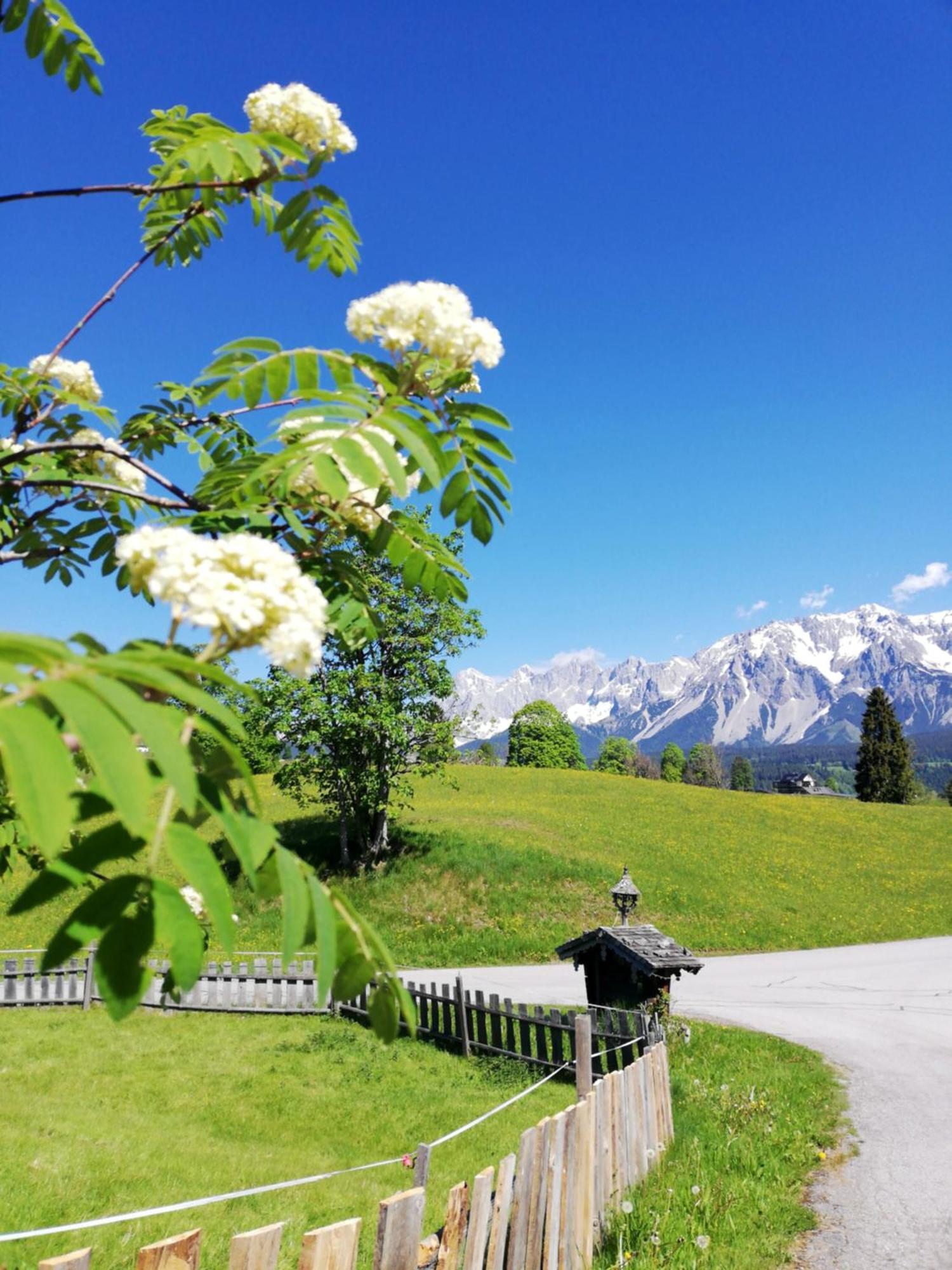 Pension Stammerhof Schladming Buitenkant foto