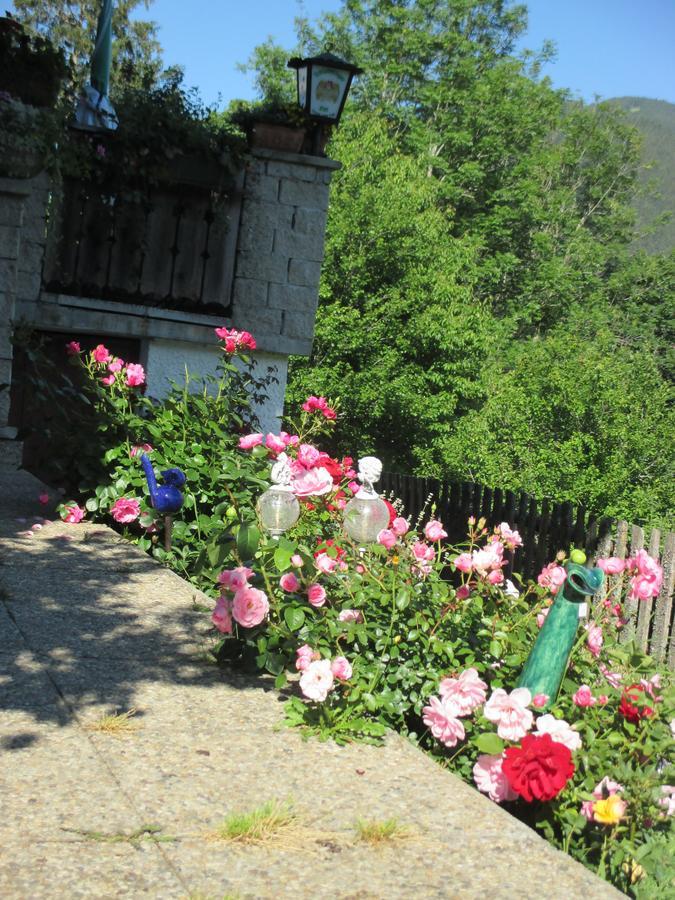 Pension Stammerhof Schladming Buitenkant foto